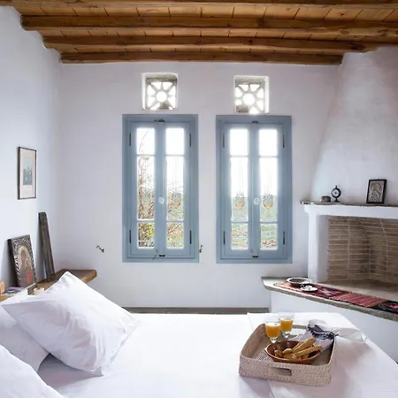 Elegant Island House